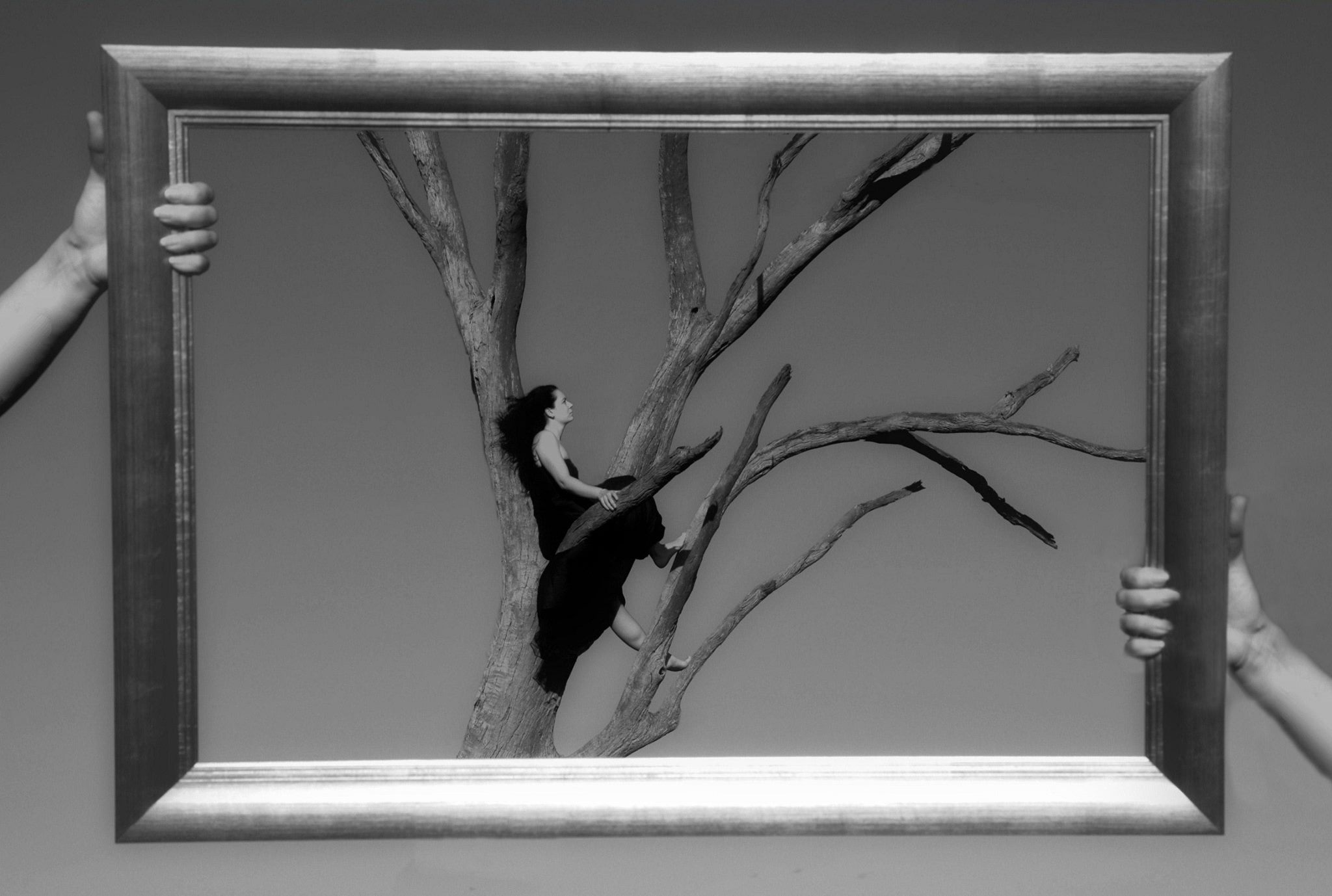 photo frame kim tree